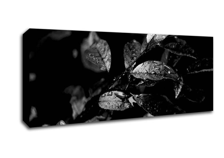 Picture of Winter Leaves B n W Panoramic Canvas Wall Art