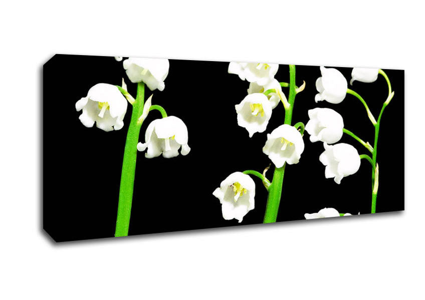 Picture of Summer Bells Panoramic Canvas Wall Art