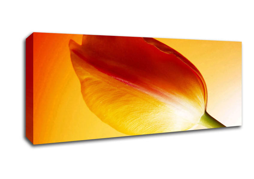 Picture of Yellow On Yellow Tulip Panoramic Canvas Wall Art