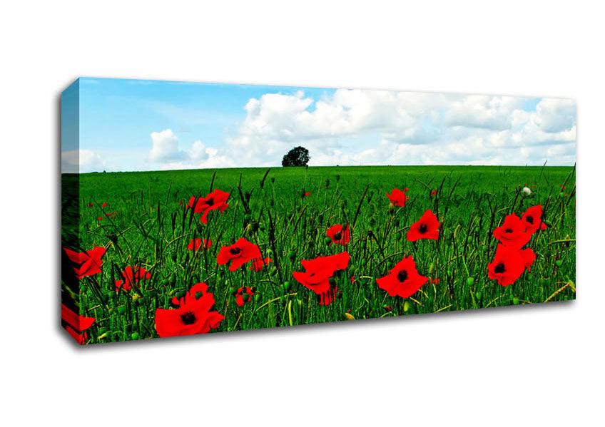Picture of Poppy Fields On A Cloudy Day Panoramic Canvas Wall Art