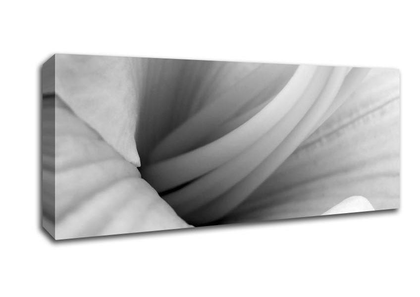 Picture of Soft Centre B n W Panoramic Canvas Wall Art