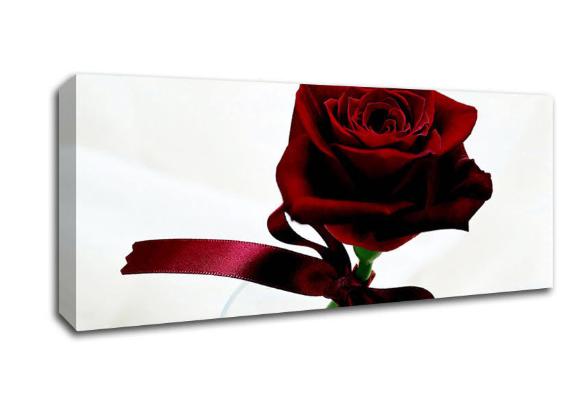 Picture of Deep Red Rose Panoramic Canvas Wall Art