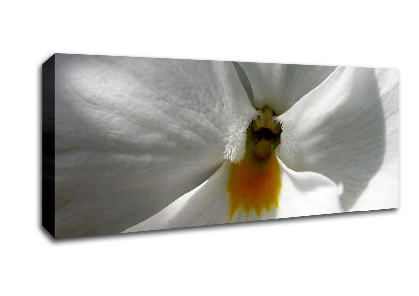 Picture of Just A Hint Of Yellow Panoramic Canvas Wall Art
