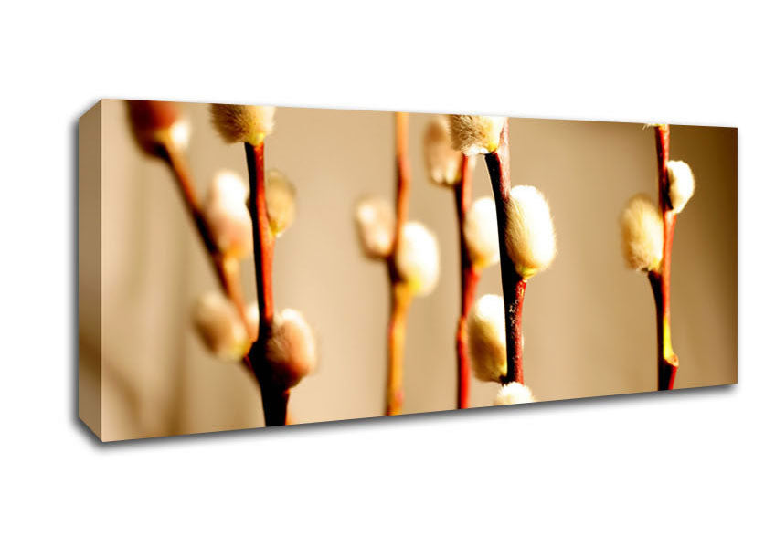 Picture of Pussy Willow Panoramic Canvas Wall Art