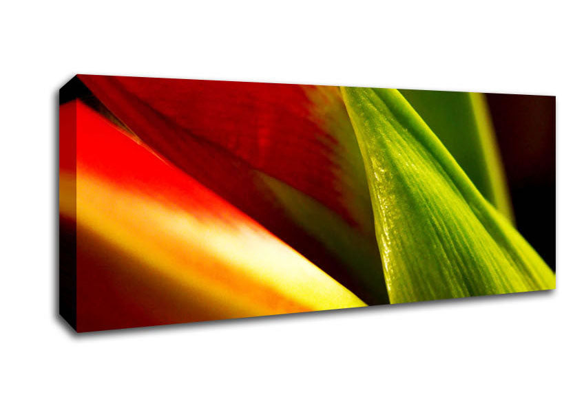 Picture of Colours Of Nature Panoramic Canvas Wall Art