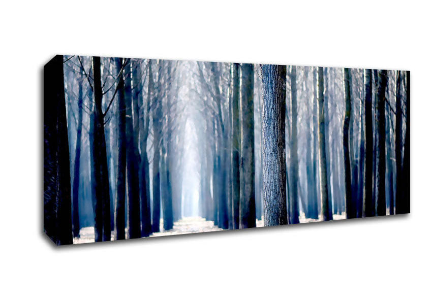 Picture of Trees Line-up In Winter Panoramic Canvas Wall Art