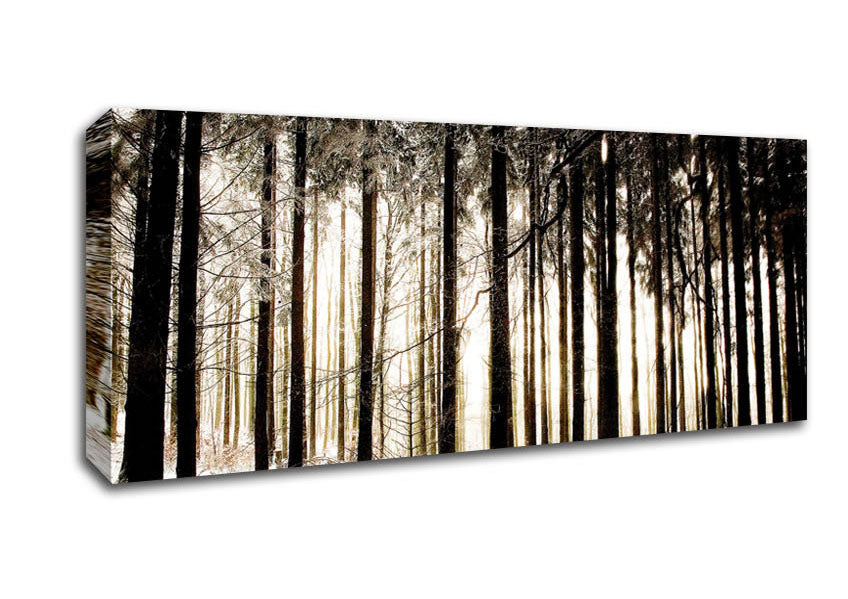 Picture of Winter Forest Snow Storm Panoramic Canvas Wall Art