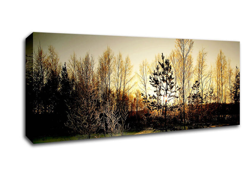 Picture of Trees Shadow Winter Panoramic Canvas Wall Art