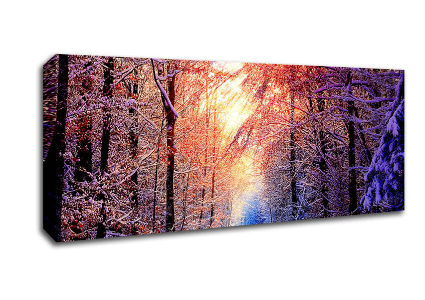 Picture of Winter Sun Blaze Panoramic Canvas Wall Art