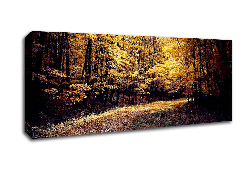 Picture of Forest Road Panoramic Canvas Wall Art