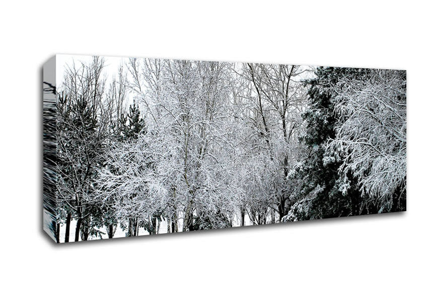 Picture of Winter In The Snow Forest Panoramic Canvas Wall Art