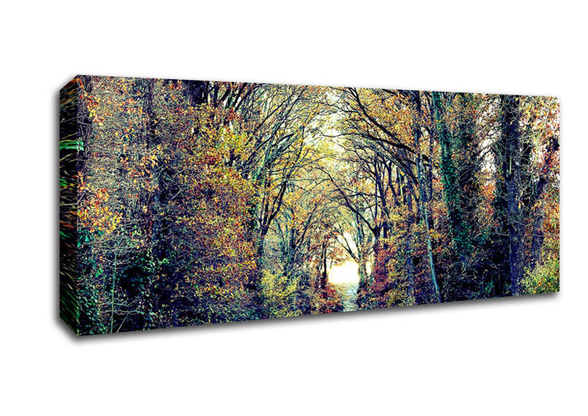 Picture of Just Trees Panoramic Canvas Wall Art