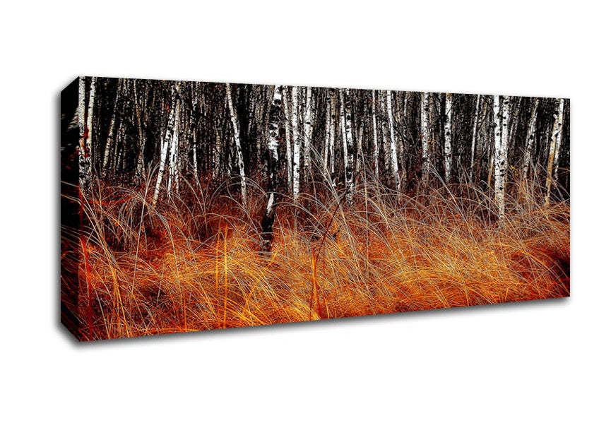 Picture of Just Before The Forest Panoramic Canvas Wall Art