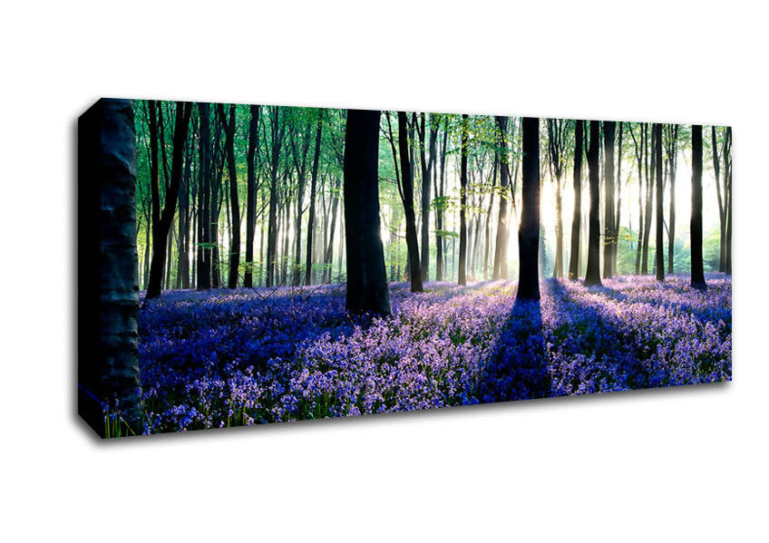 Picture of Dawn In Forest Panoramic Canvas Wall Art