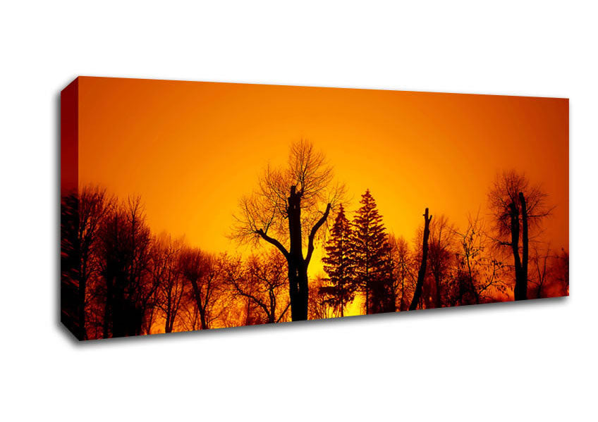 Picture of The Forest Aglow Panoramic Canvas Wall Art