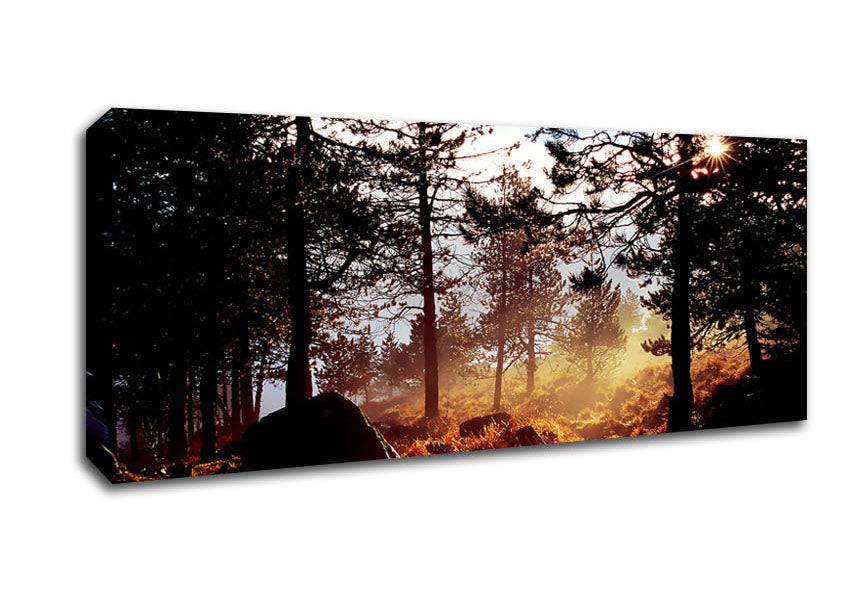 Picture of Day Break In The Forest Panoramic Canvas Wall Art