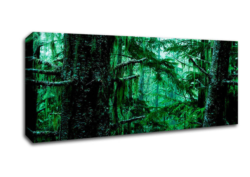 Picture of Emerald Forest Panoramic Canvas Wall Art