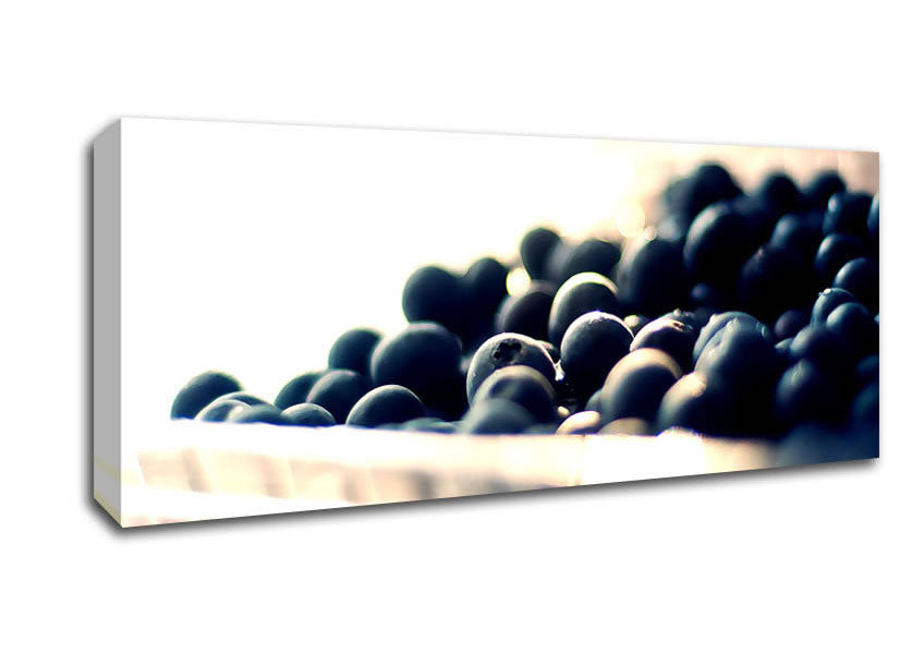 Picture of Wild Berries Panoramic Canvas Wall Art