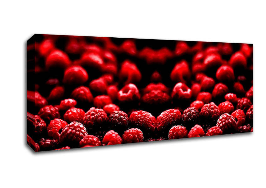 Picture of Raspberry Galour Panoramic Canvas Wall Art