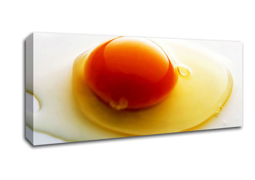 Picture of Single Egg Panoramic Canvas Wall Art