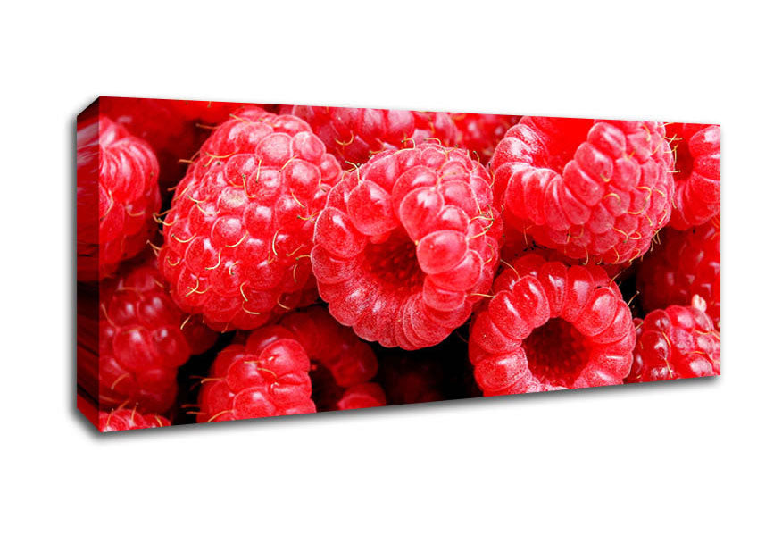 Picture of Raspberry Delight Panoramic Canvas Wall Art