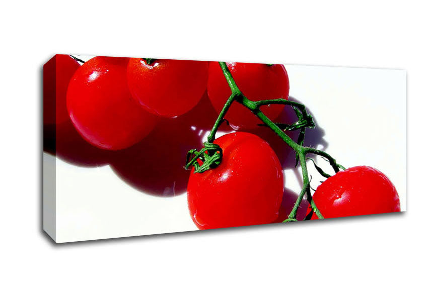 Picture of Red Cherry Tomato Vine Panoramic Canvas Wall Art