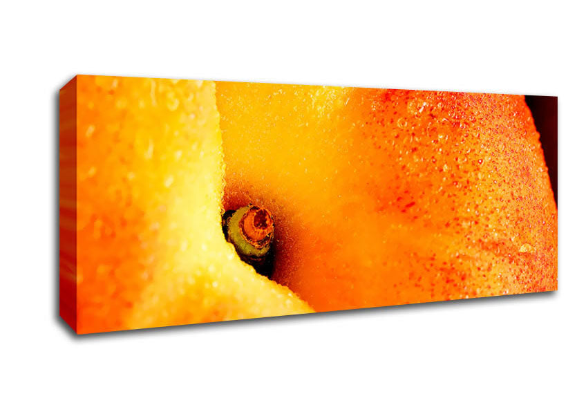 Picture of Peach Close-Up Panoramic Canvas Wall Art