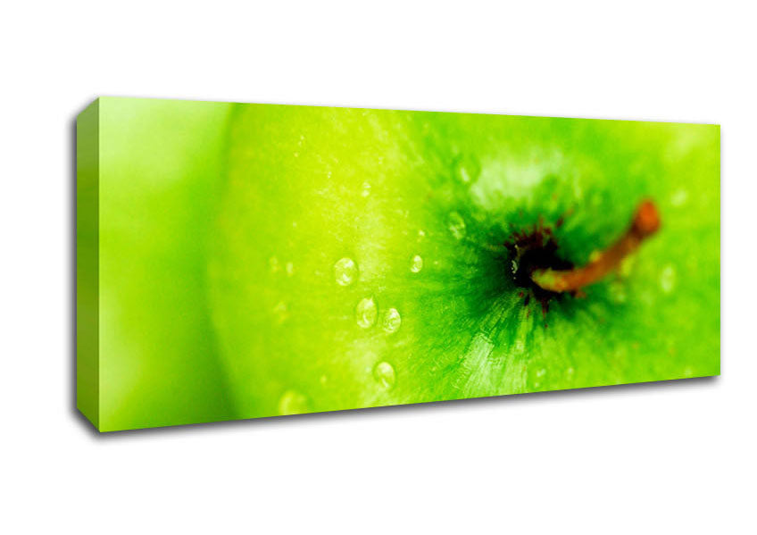 Picture of Dewdrop Apple Panoramic Canvas Wall Art
