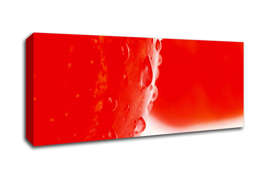 Picture of Red Apple Close-Up Panoramic Canvas Wall Art