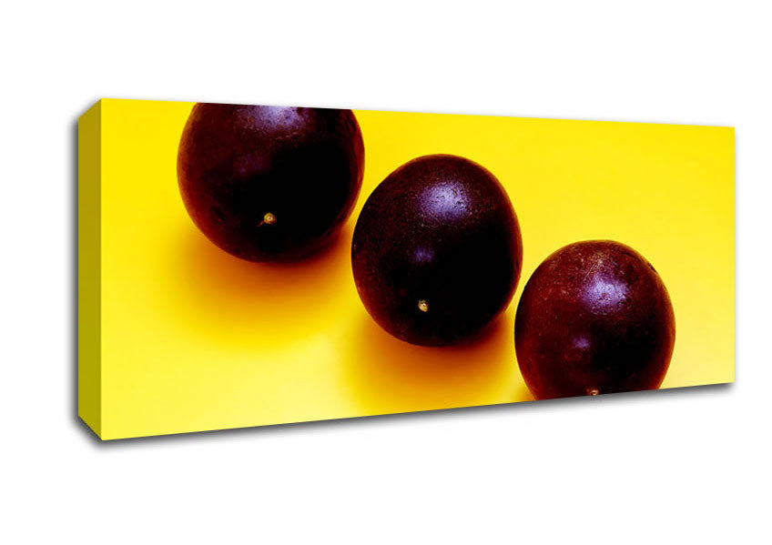 Picture of Plums Trio Panoramic Canvas Wall Art