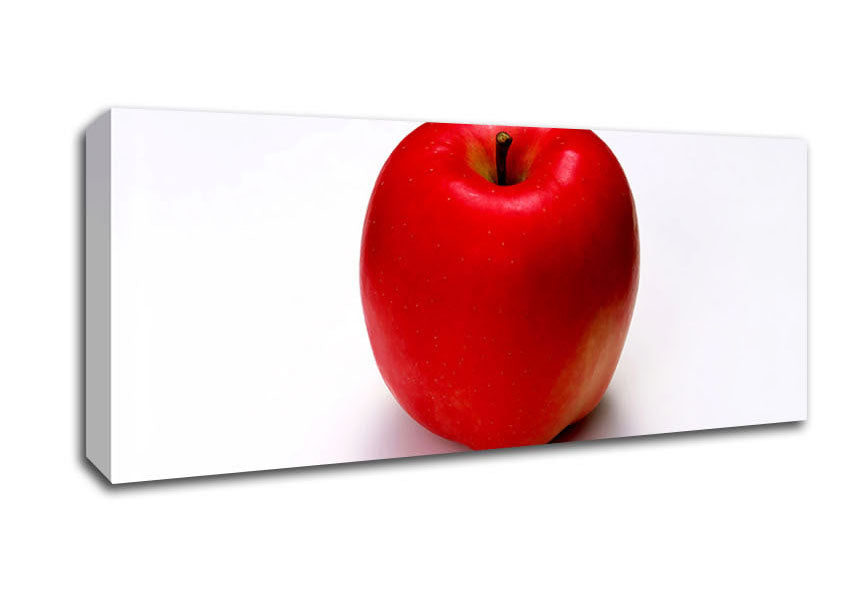 Picture of Single Red Apple Panoramic Canvas Wall Art