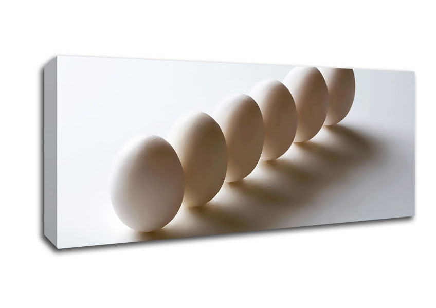 Picture of White Eggs Marching Panoramic Canvas Wall Art
