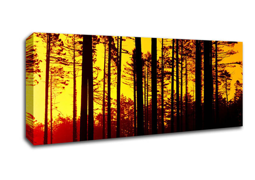 Picture of Through The Trees Panoramic Canvas Wall Art