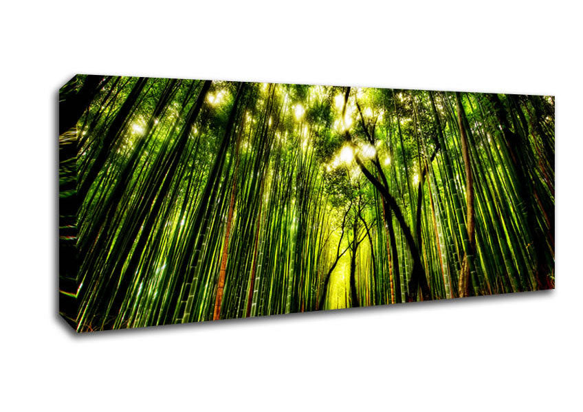 Picture of The Woodland Walk Panoramic Canvas Wall Art