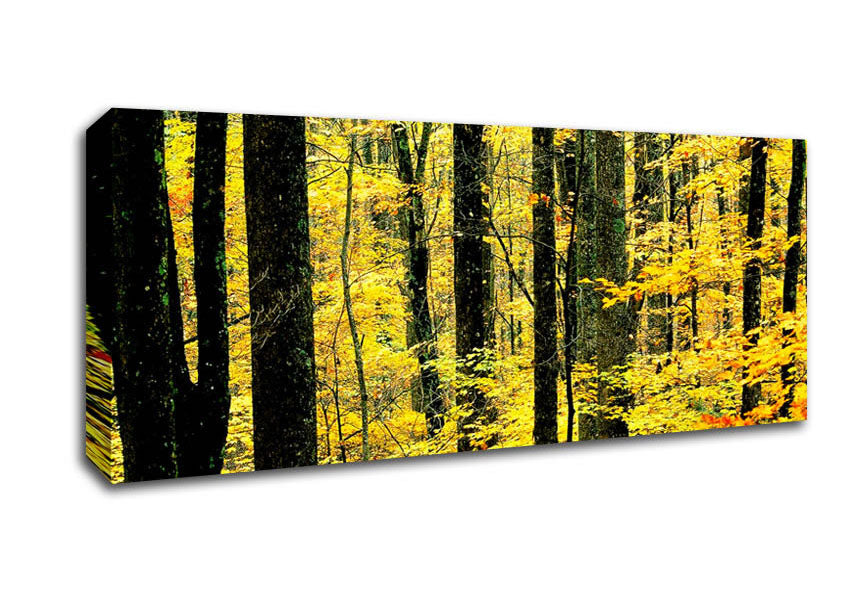 Picture of Yellow Woodland Panoramic Canvas Wall Art