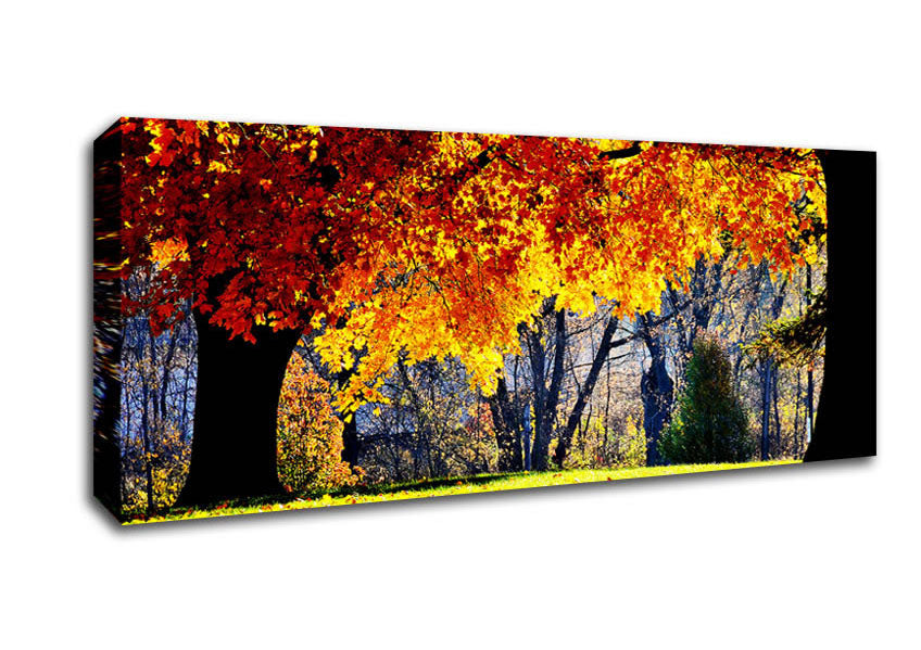 Picture of The Golden Autumn Tree Panoramic Canvas Wall Art