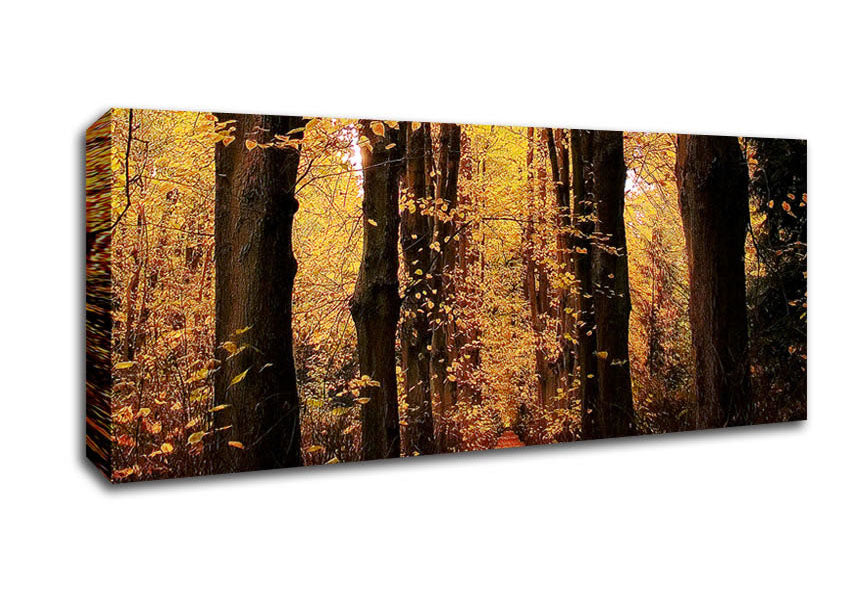 Picture of Woodland Walkway Panoramic Canvas Wall Art
