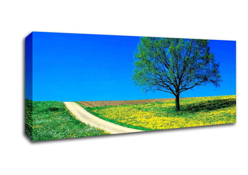 Picture of The Lonely Tree Road Panoramic Canvas Wall Art