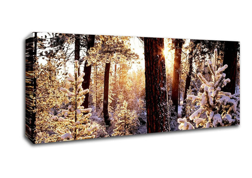 Picture of Winter Woodland Panoramic Canvas Wall Art