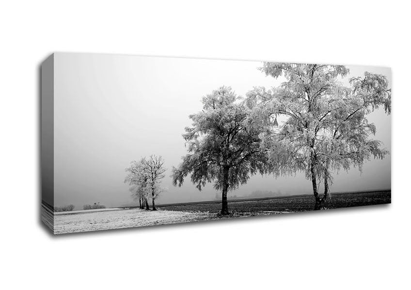 Picture of Winter Mist B n W Panoramic Canvas Wall Art