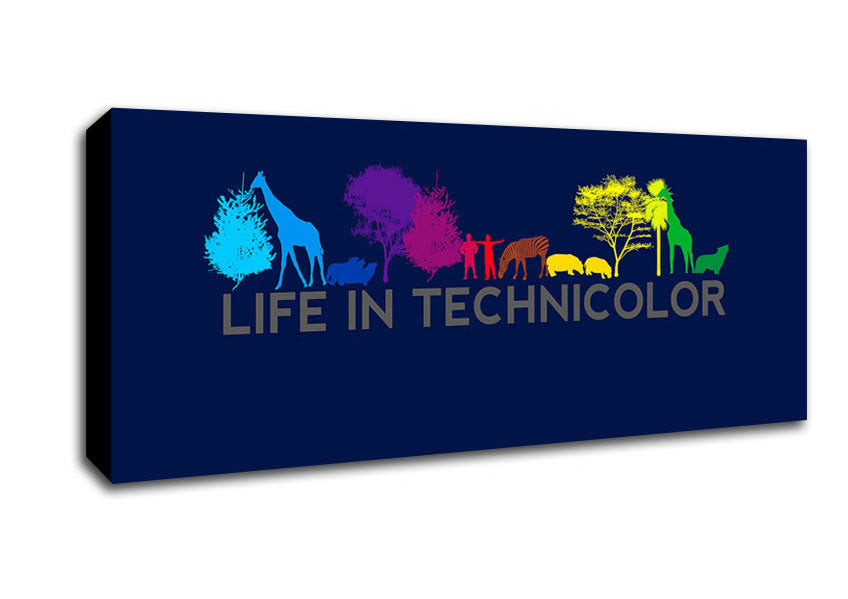 Picture of Life In Technicolor Panoramic Canvas Wall Art