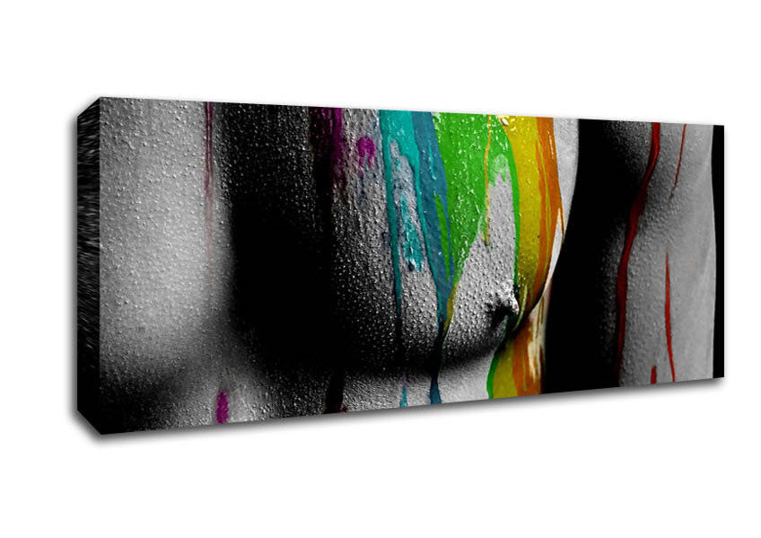 Picture of Torso Muscles Panoramic Canvas Wall Art