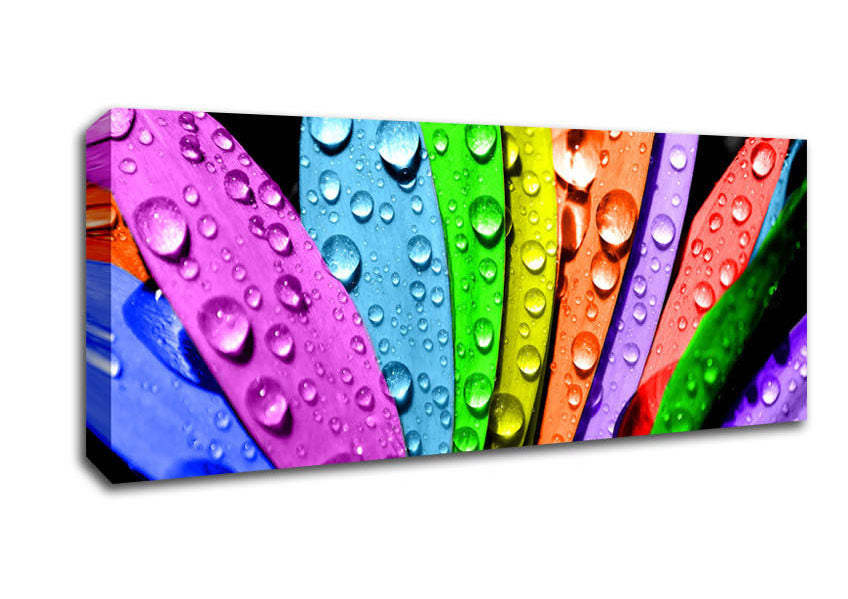 Picture of Colourful Flower Panoramic Canvas Wall Art
