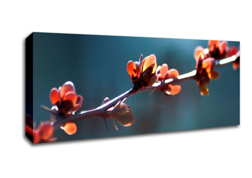 Picture of Spikey Flower Branch Panoramic Canvas Wall Art
