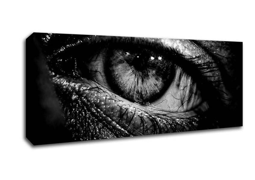 Picture of The Eye Of Knowledge Panoramic Canvas Wall Art