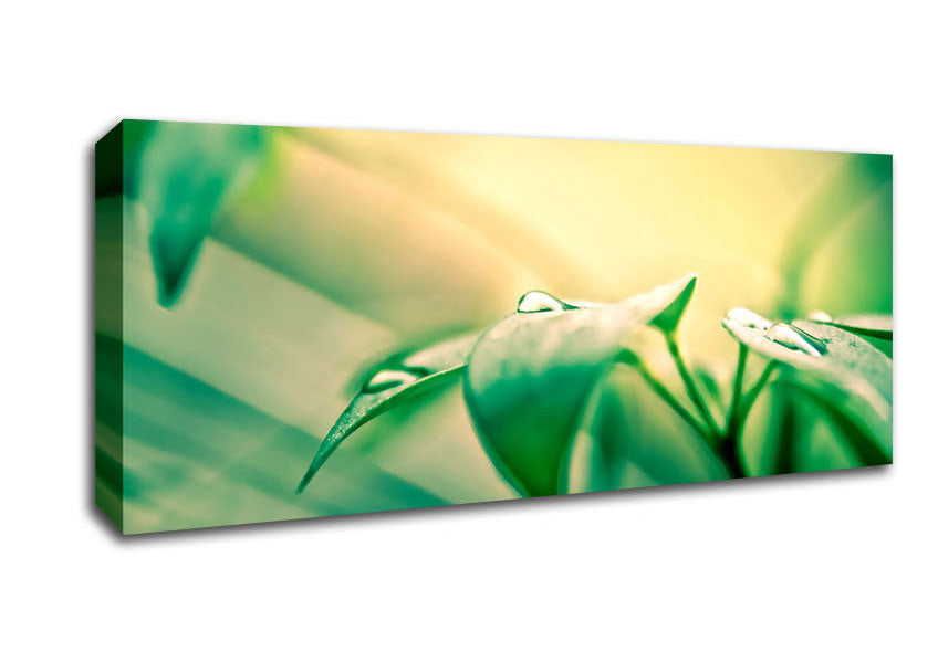 Picture of You Are Beautiful Panoramic Canvas Wall Art