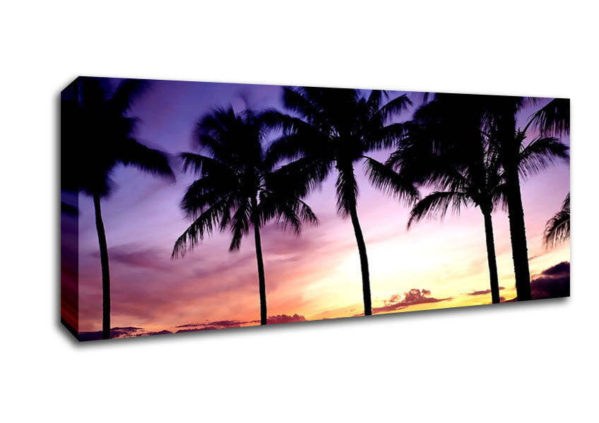 Picture of Palm Trees Sunset Panoramic Canvas Wall Art