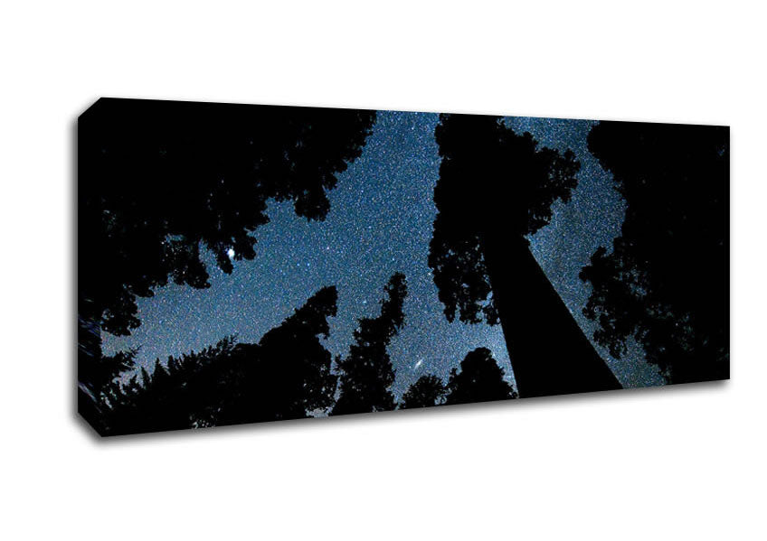 Picture of Andromeda And The Milky Way Above The Oregon Panoramic Canvas Wall Art