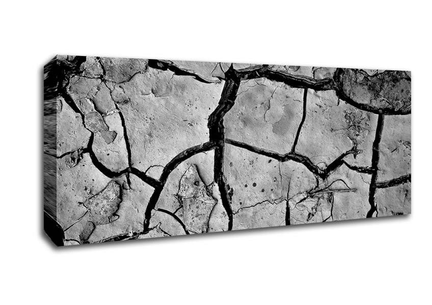 Picture of Cracked Mud Panoramic Canvas Wall Art