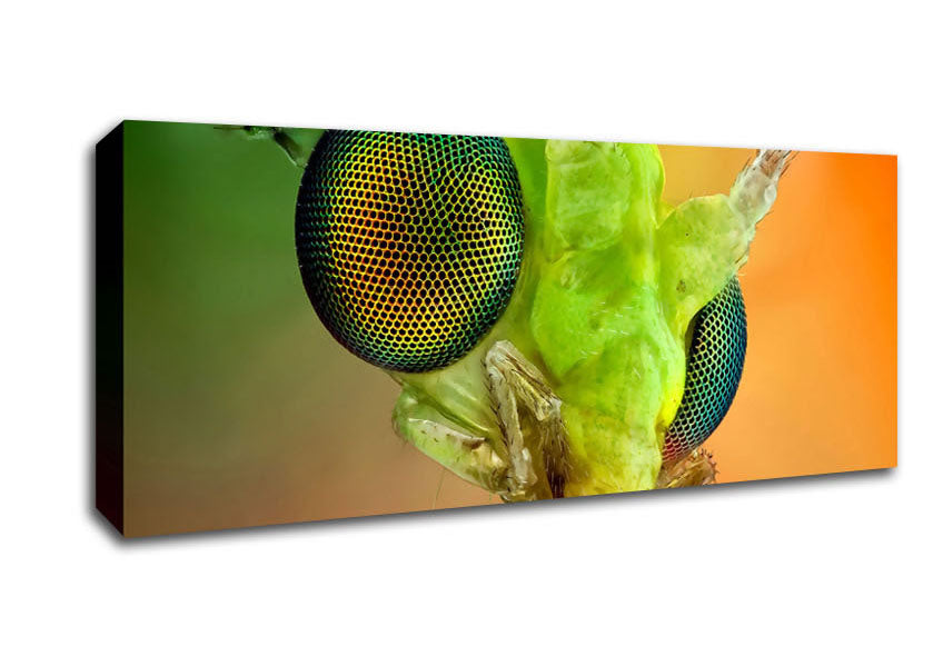 Picture of Macro Eyes Panoramic Canvas Wall Art